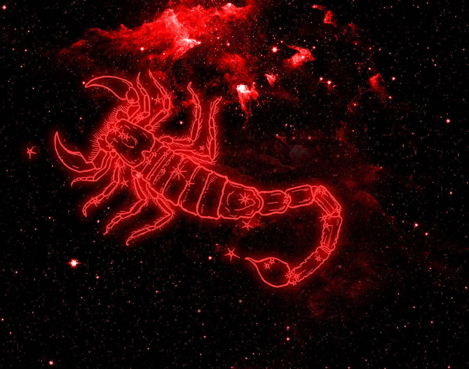 Red Scorpio In Space Background