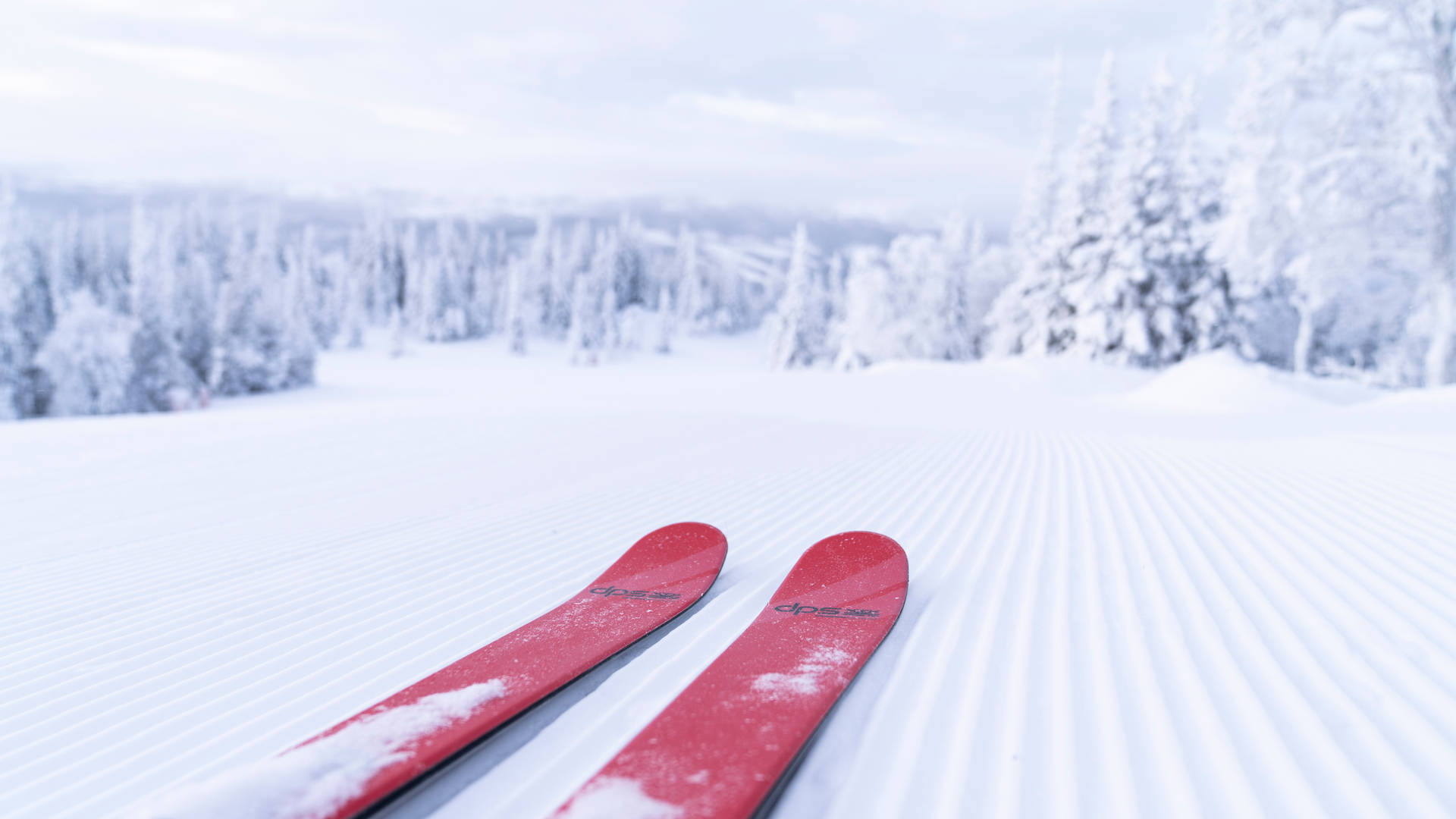 Red Skiing Board Background