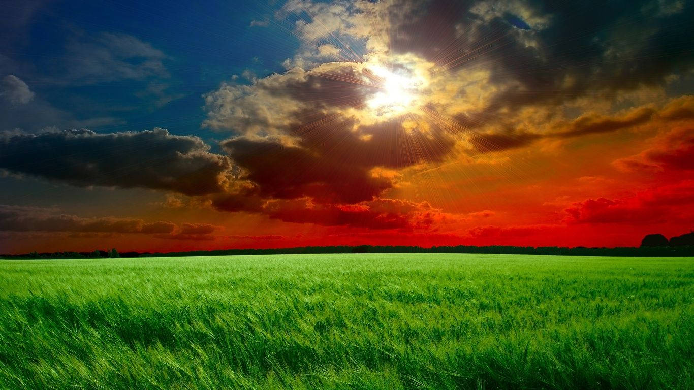 Red Sky Green Grass Background