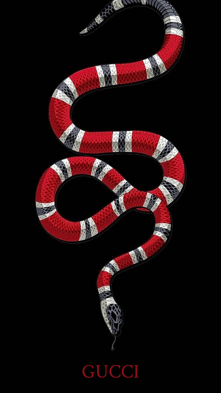 Red Snake Gucci Iphone Background
