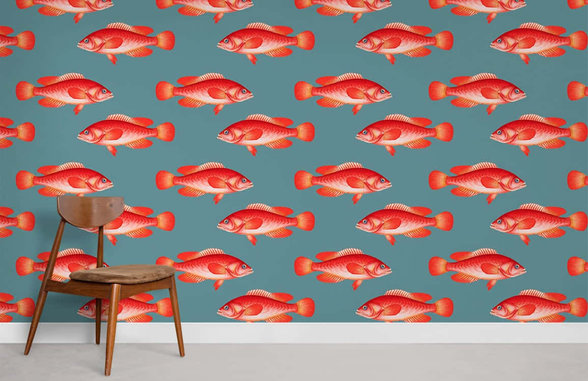 Red Snapper Wallpaper Interior Background