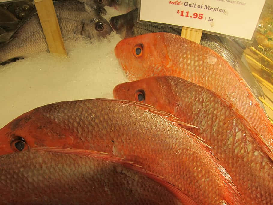 Red Snapperon Iceat Market