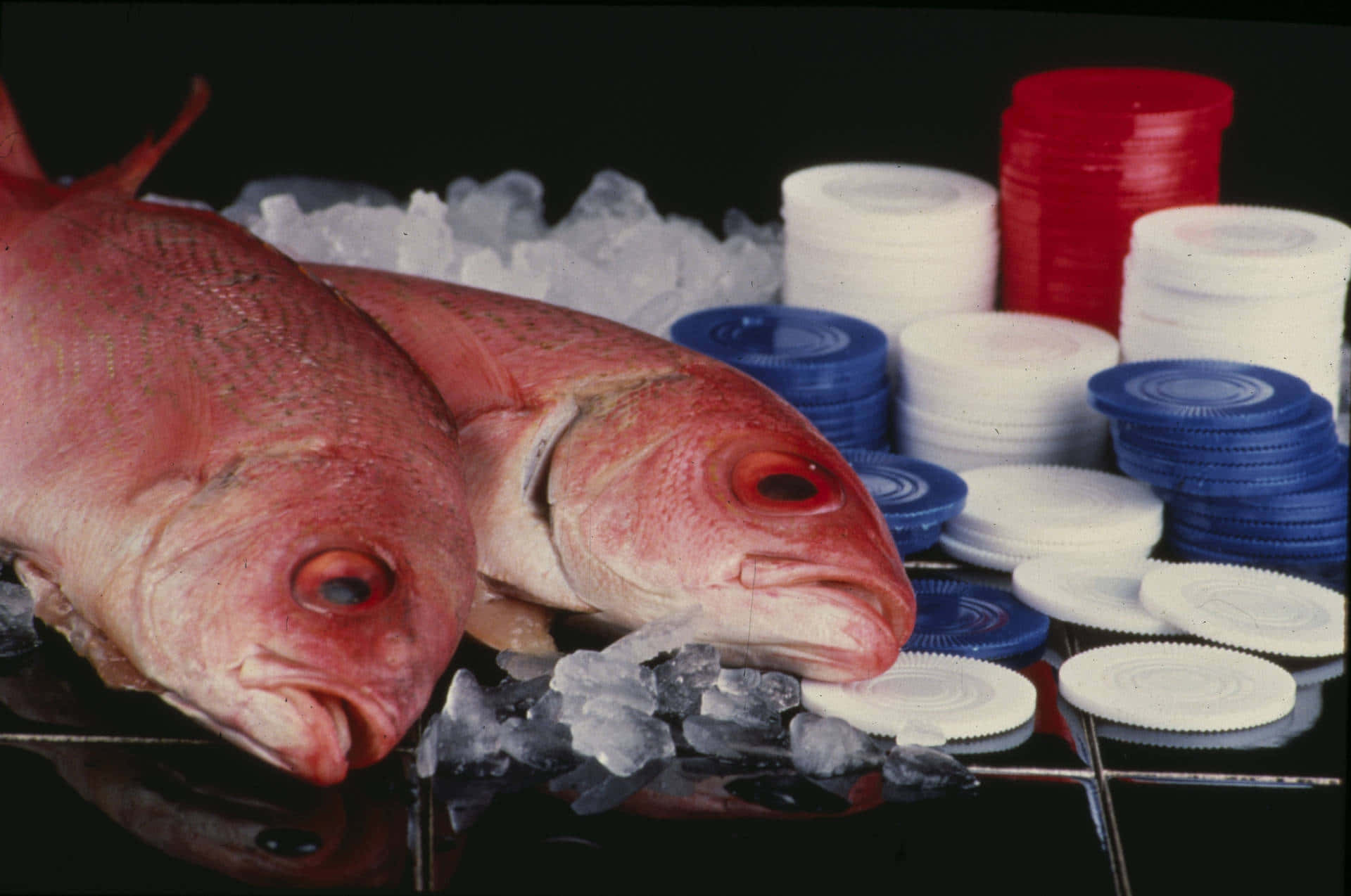 Red Snapperon Icewith Plastic Lids