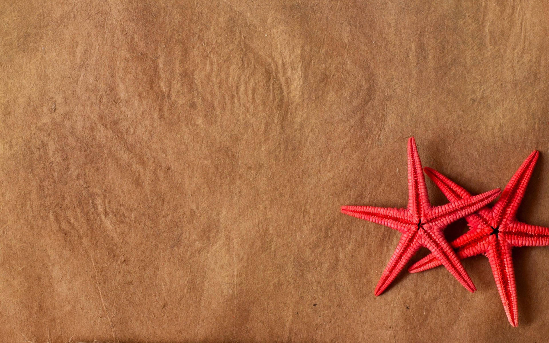 Red Starfish On Sand Background