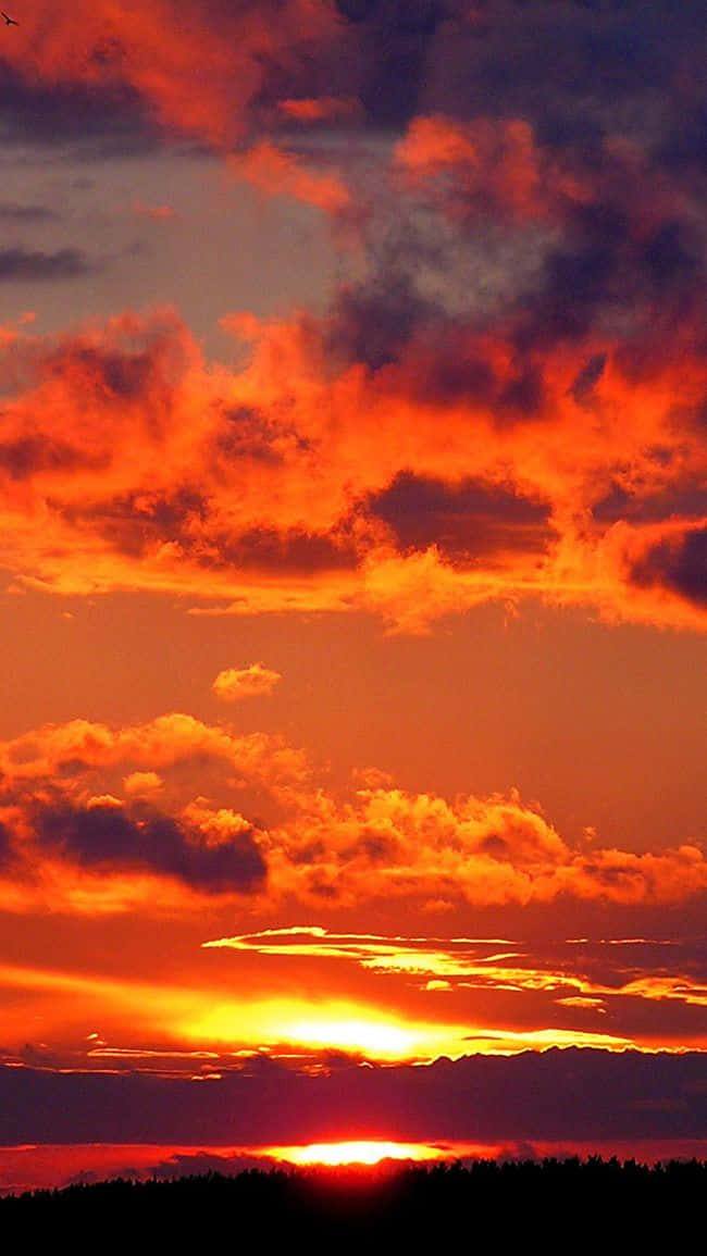 Red Sunset Cloud Background