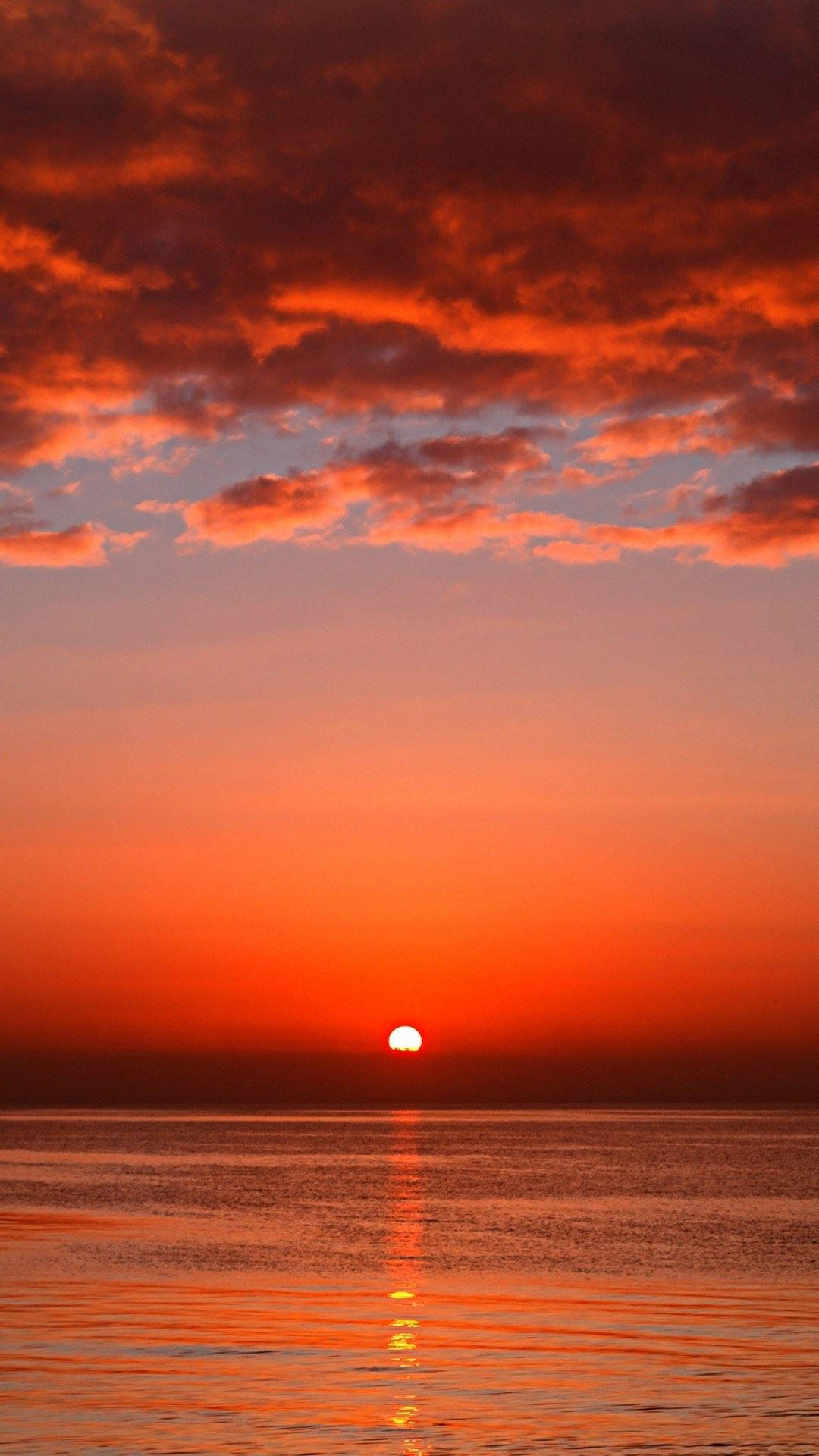 Red Sunset Top Iphone Hd Background