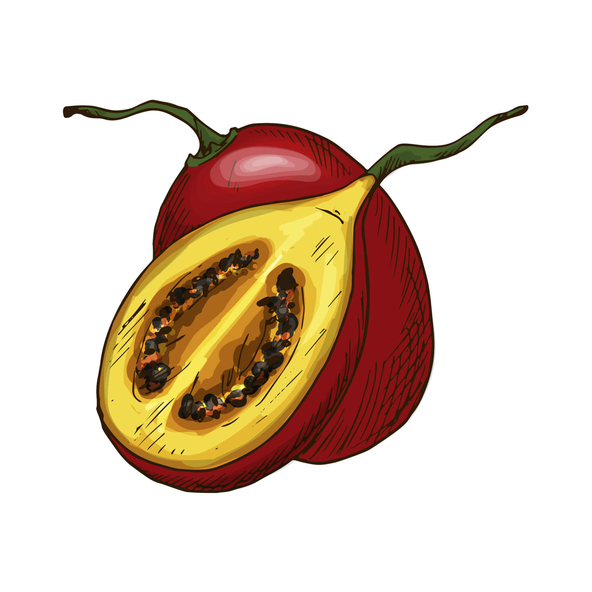 Red Tamarillo Fruit Artistic Illustration Background
