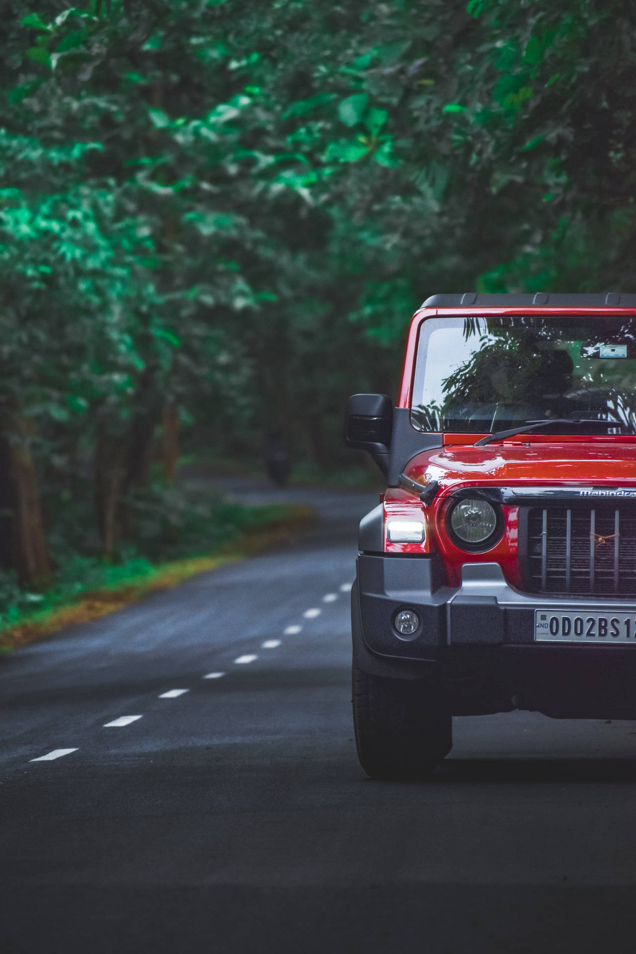 Red Thar 4k - Amidst The Green Nature Background