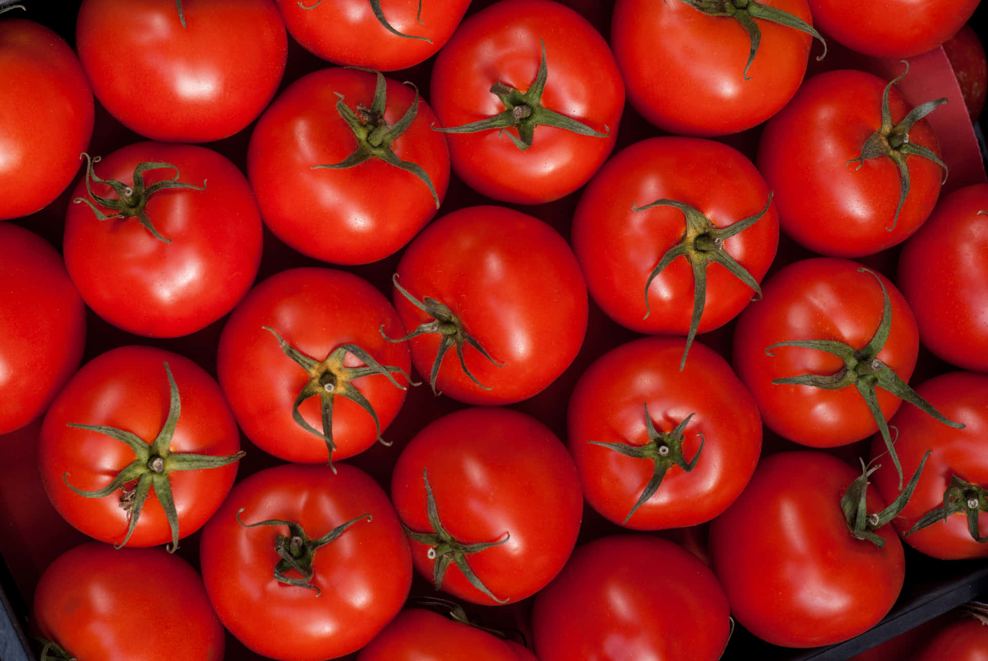 Red Tomatoes Healthy Food Background