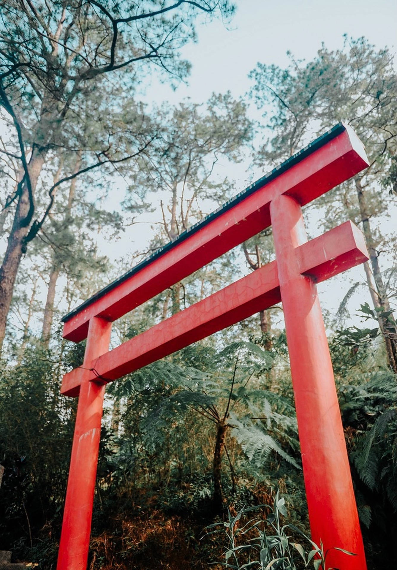 Red Torii Gate Background