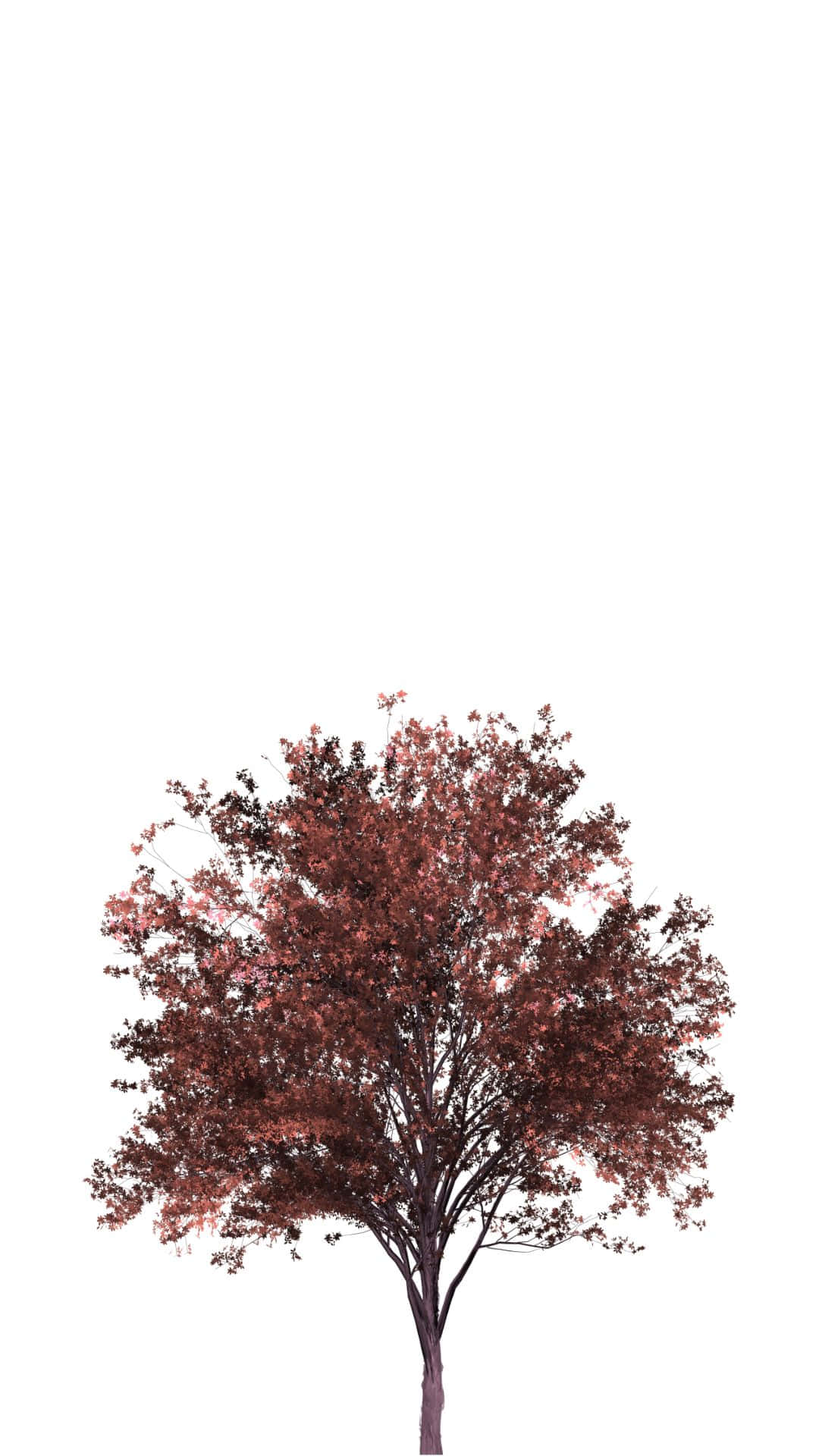 Red Tree In The Forest Background