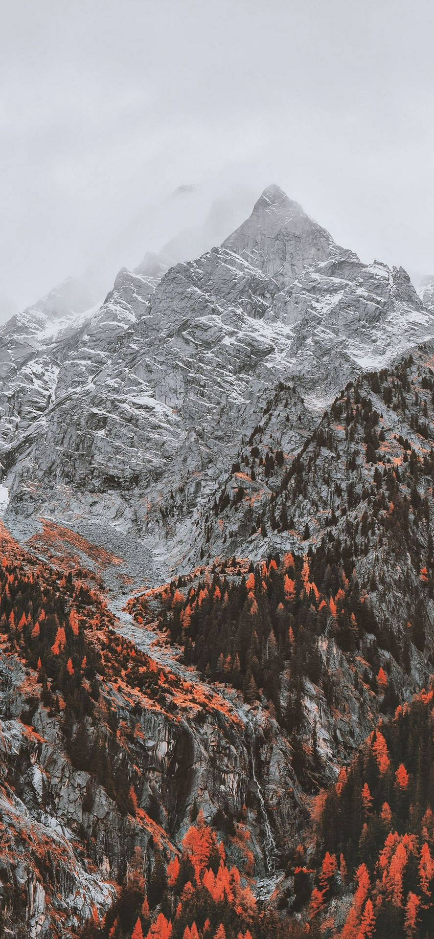 Red Tree Mountain Iphone Amoled Background