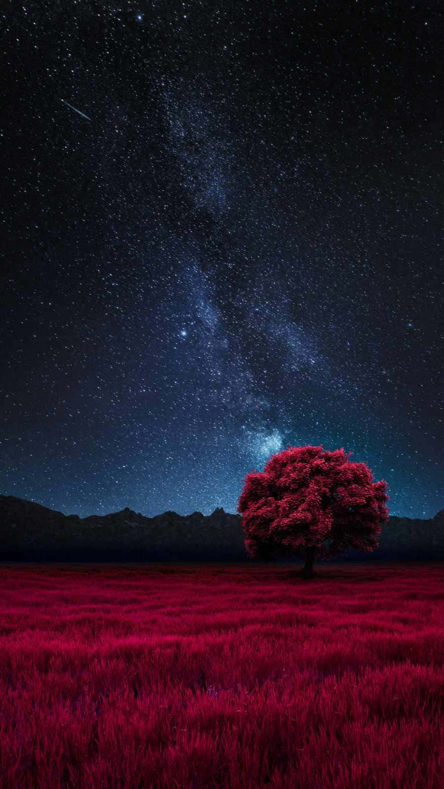 Red Tree Starry Night Background