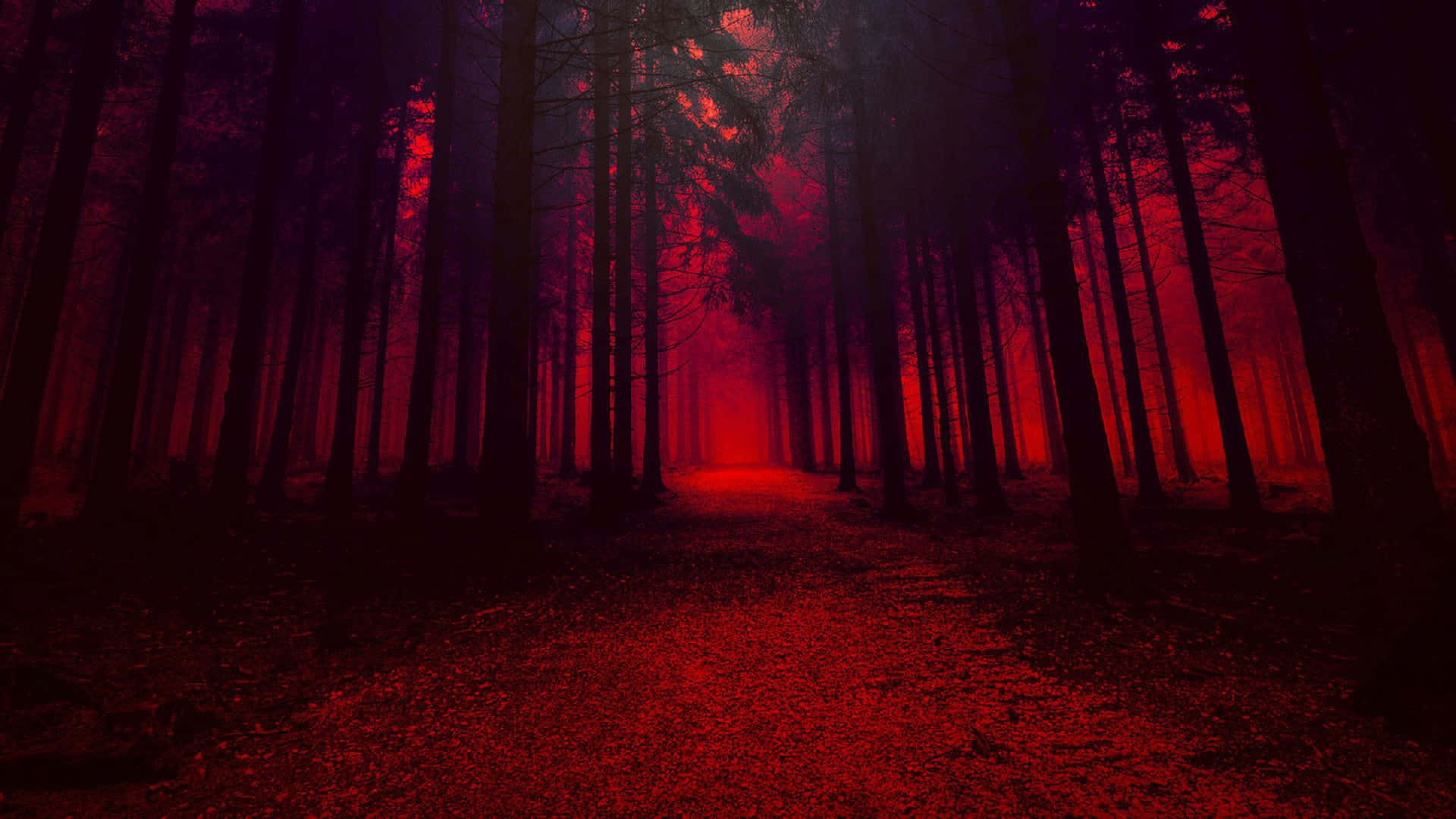 Red Trees Dark Forest Background