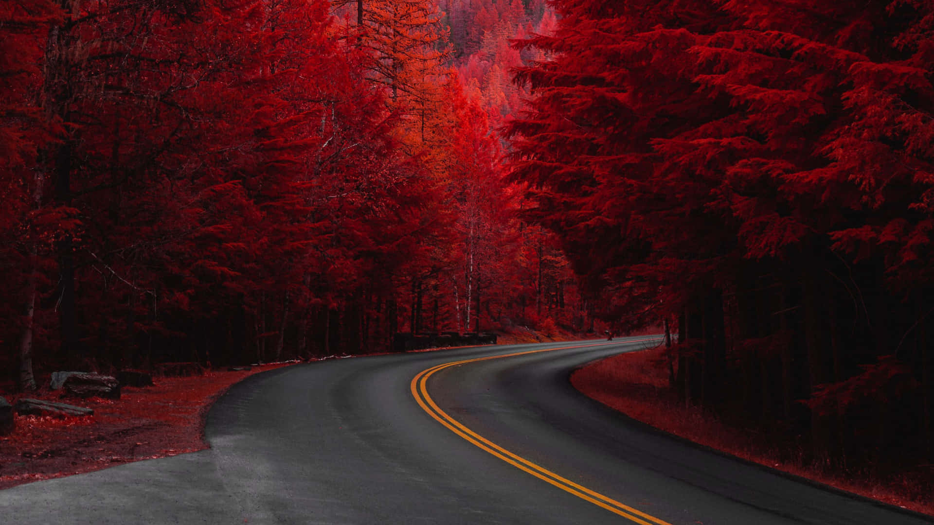 Red Trees Road Background