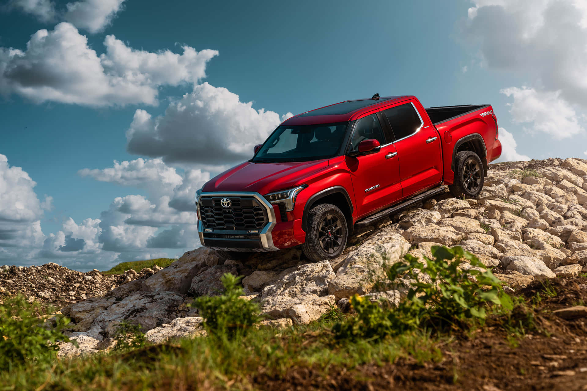 Red Tundra On Rocky Hill Background