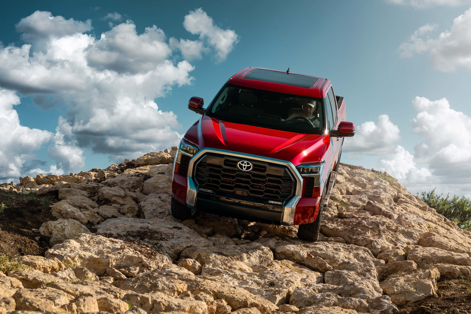 Red Tundra On Rocky Terrain Background