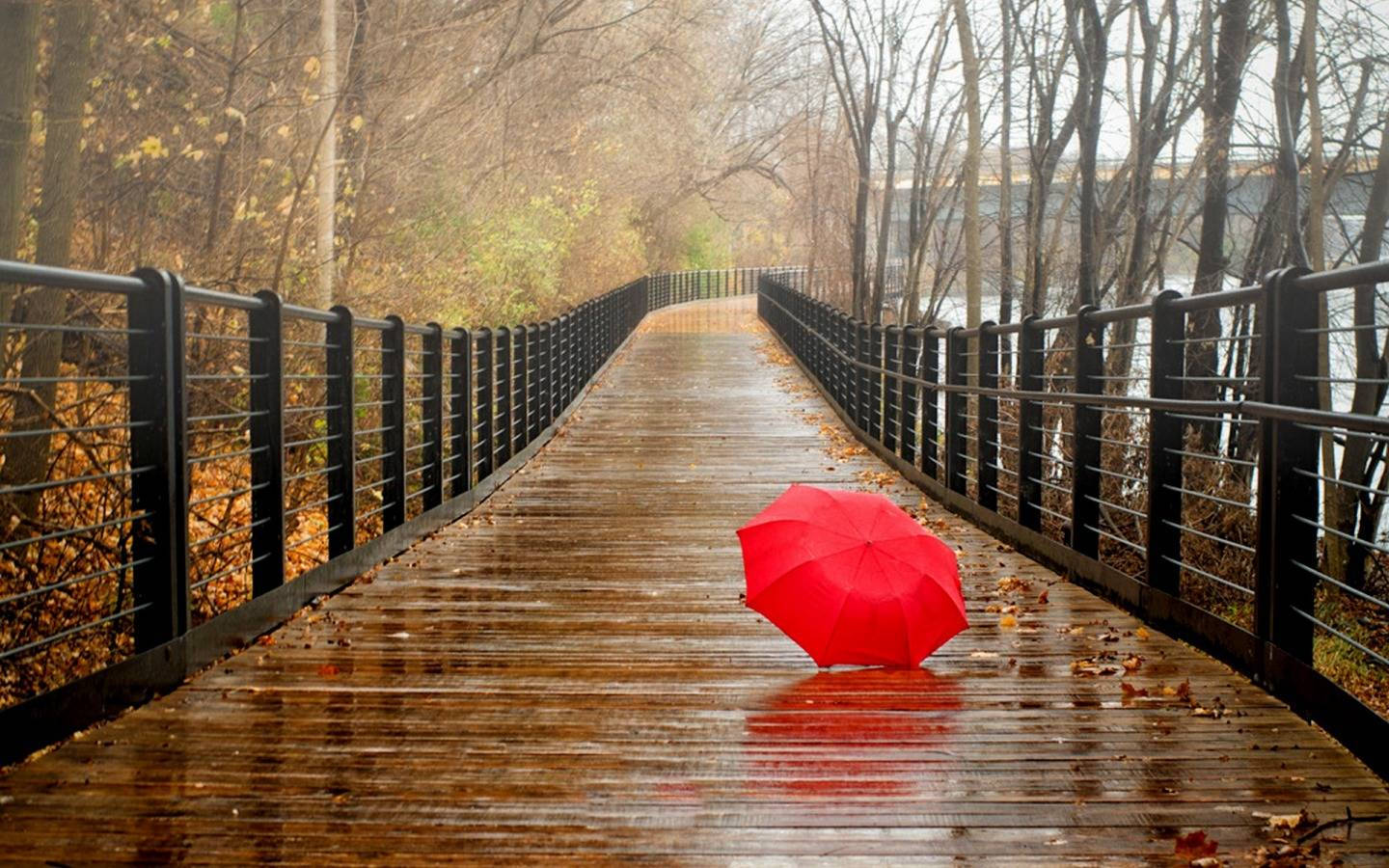 Red Umbrella In Pathway Most Beautiful Rain Background