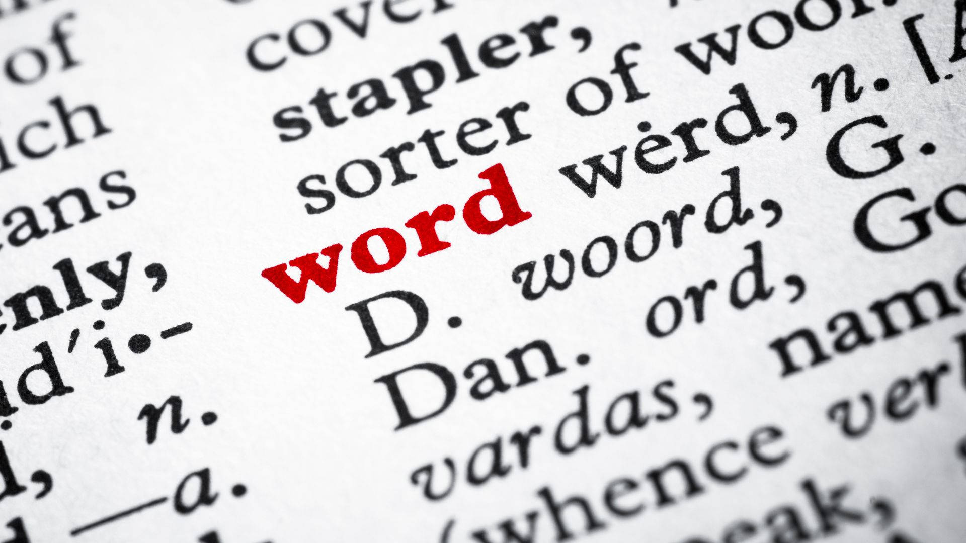 Red Word In Dictionary Background