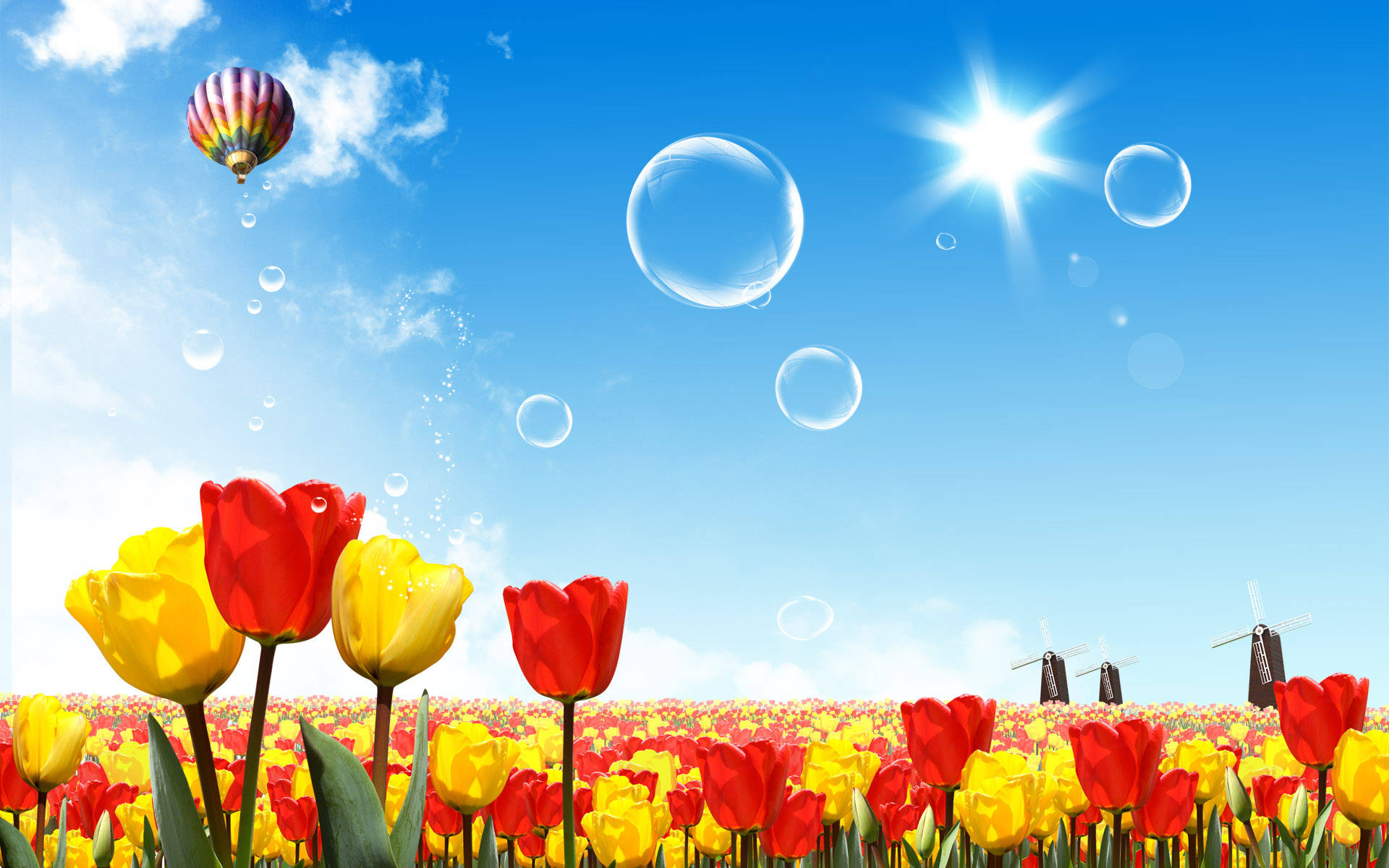 Red Yellow Tulips On Summer Morning Screen Saver Background