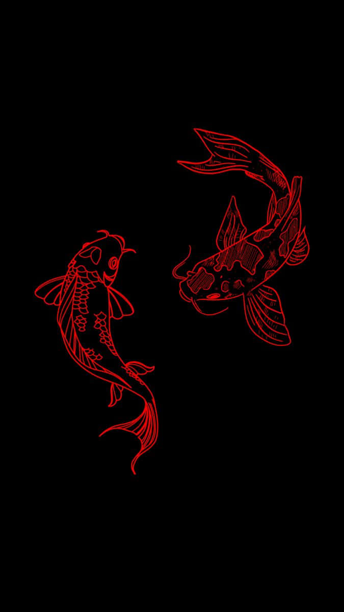 Redand Black Koi Fish Illustration Background