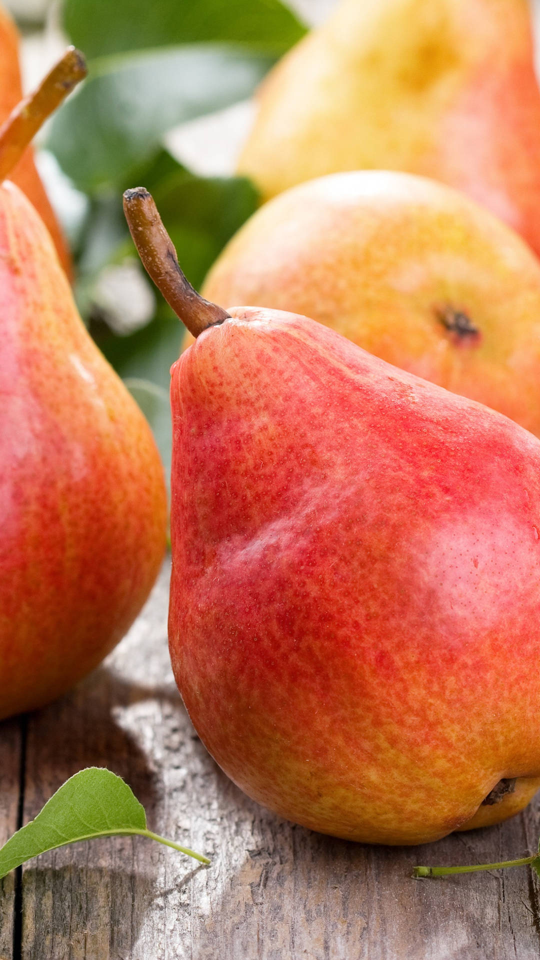 Reddish Pear Fruits