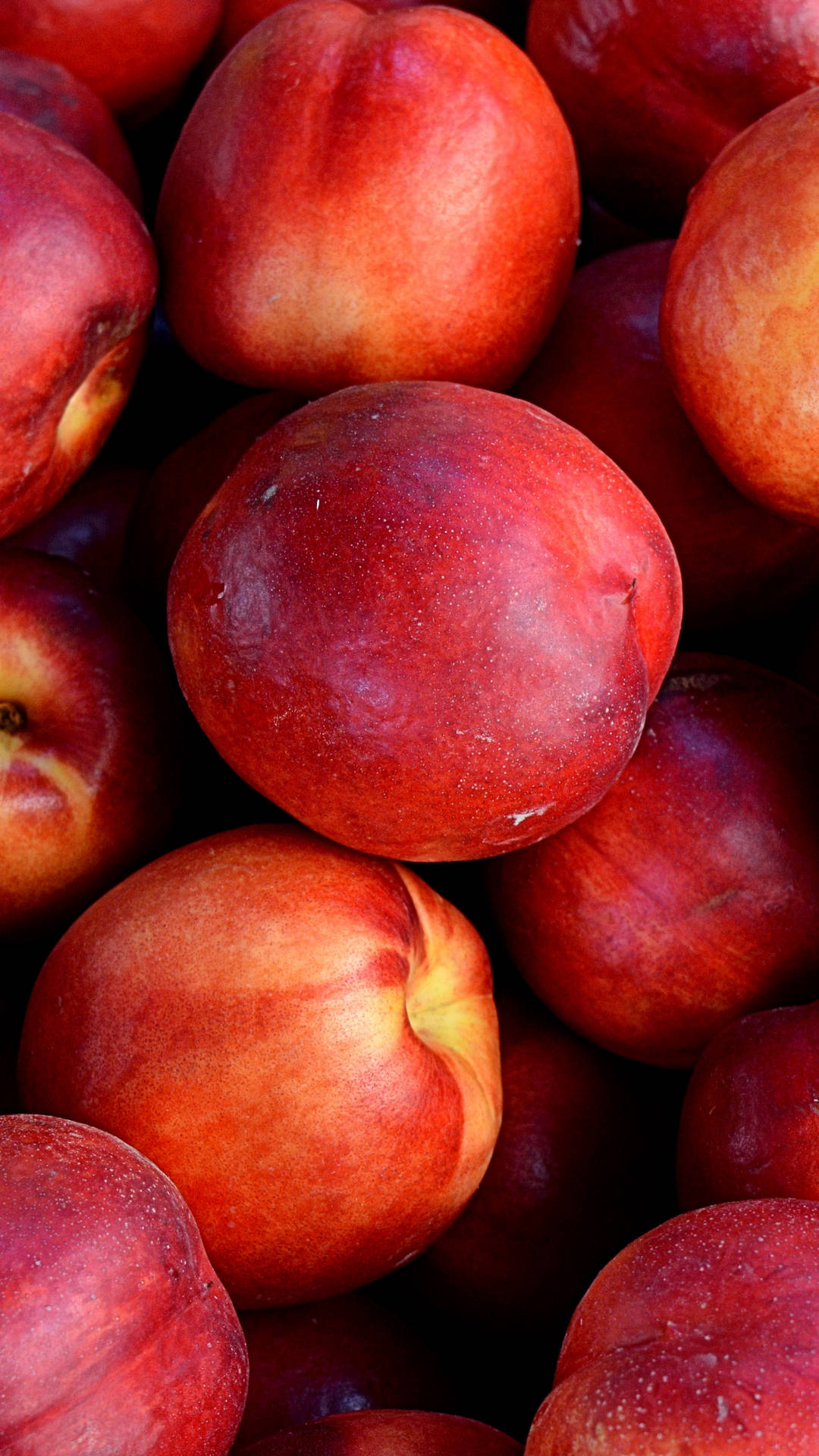 Reddish Ripe Nectarine Fruit