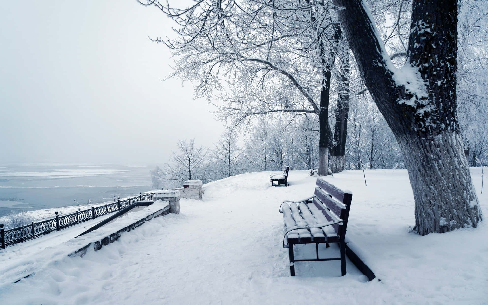 Rediscovering The Beauty Of Winter In A Snow-covered Park Background