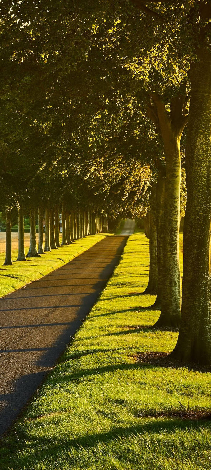 Redmi Note 10 Empty Sunlit Road Background