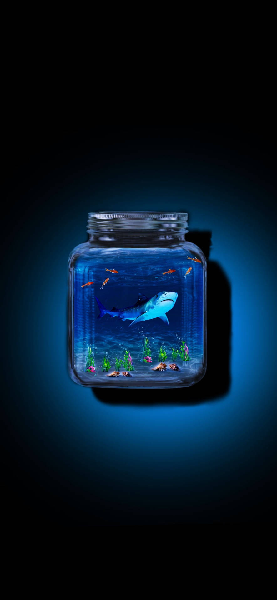 Redmi Note 10 Shark In A Jar Background