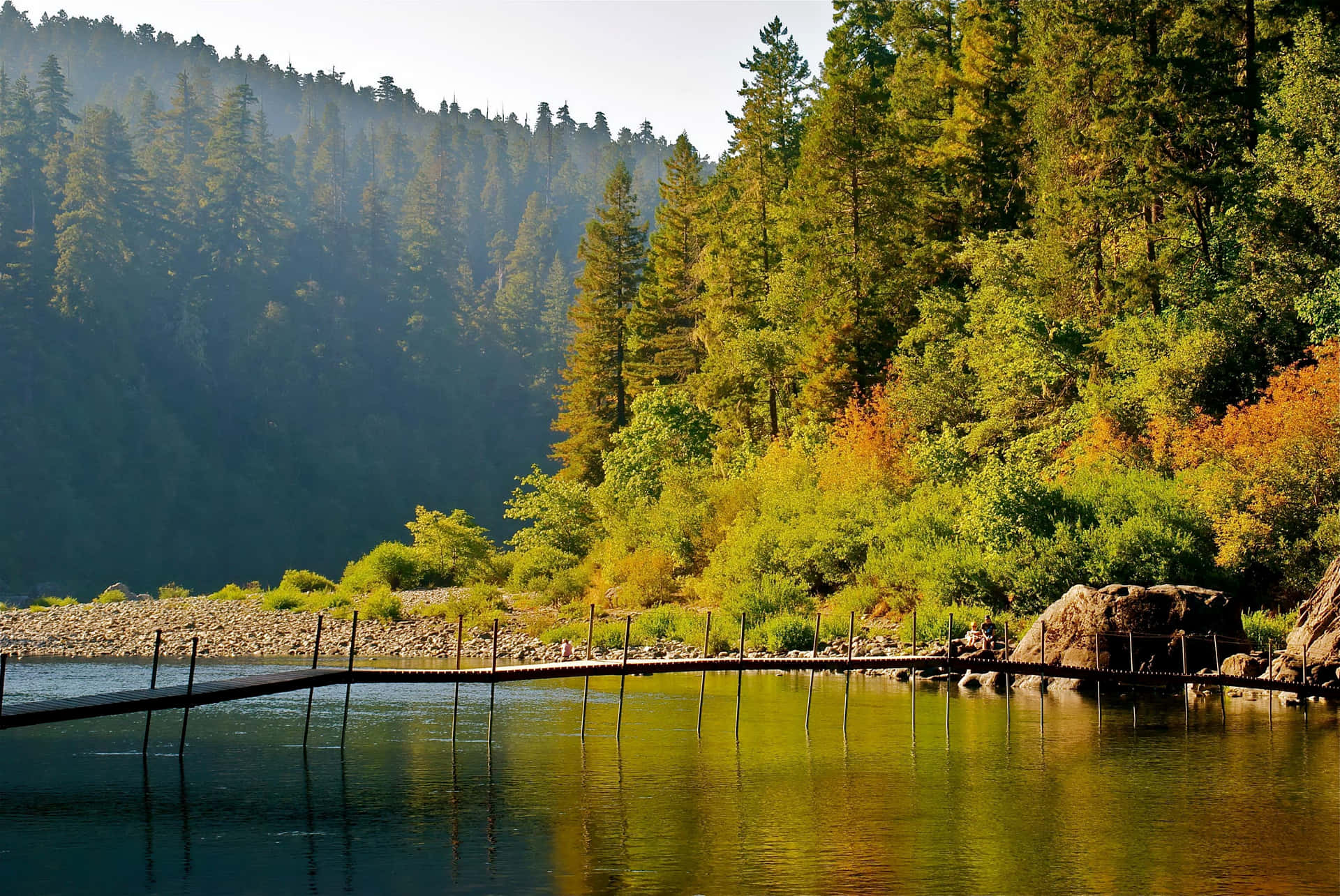 Redwood National Park Jedediah Smith River Background