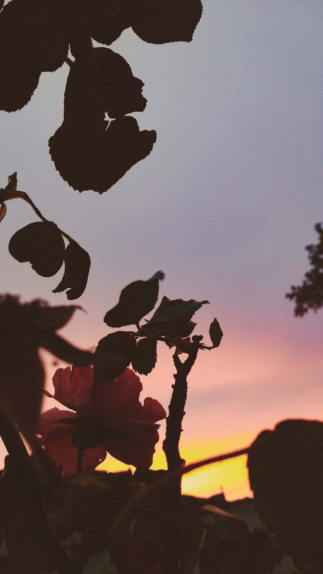 Reflecting On The Beauty Of Nature