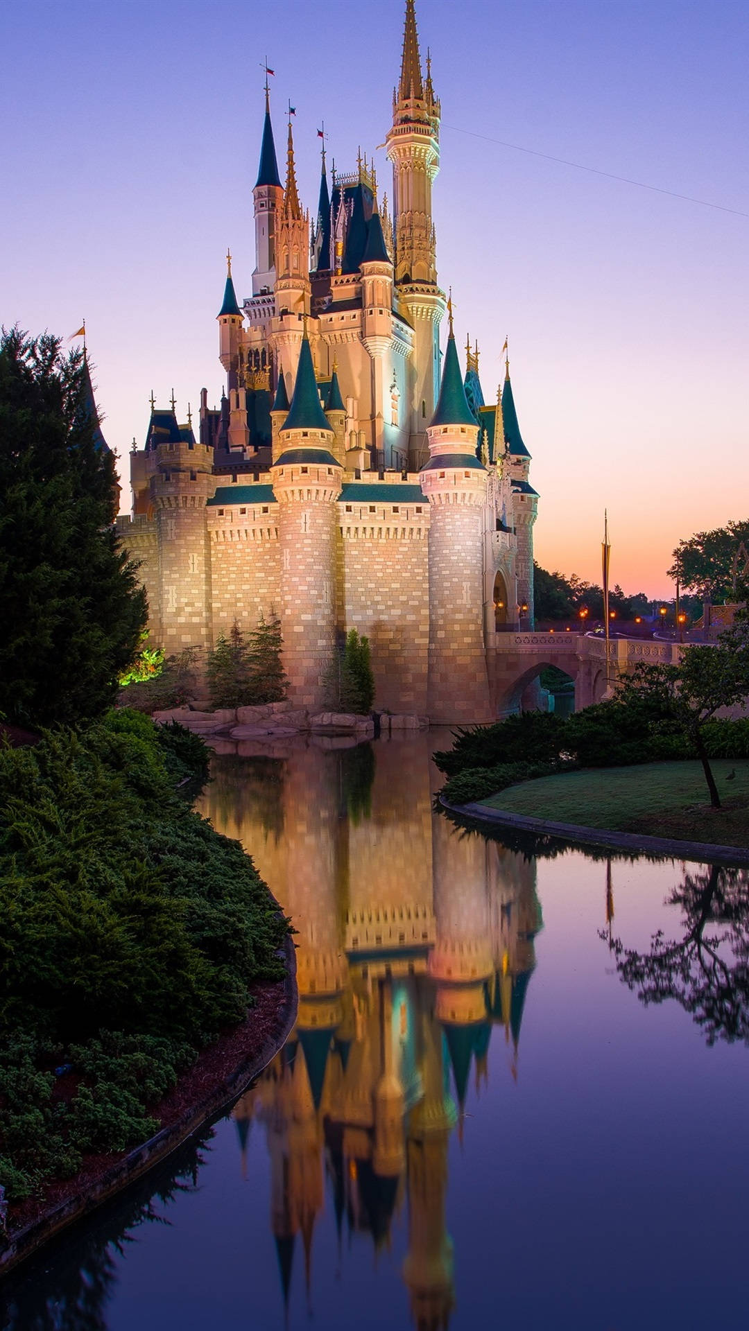 Reflection Disney Castle