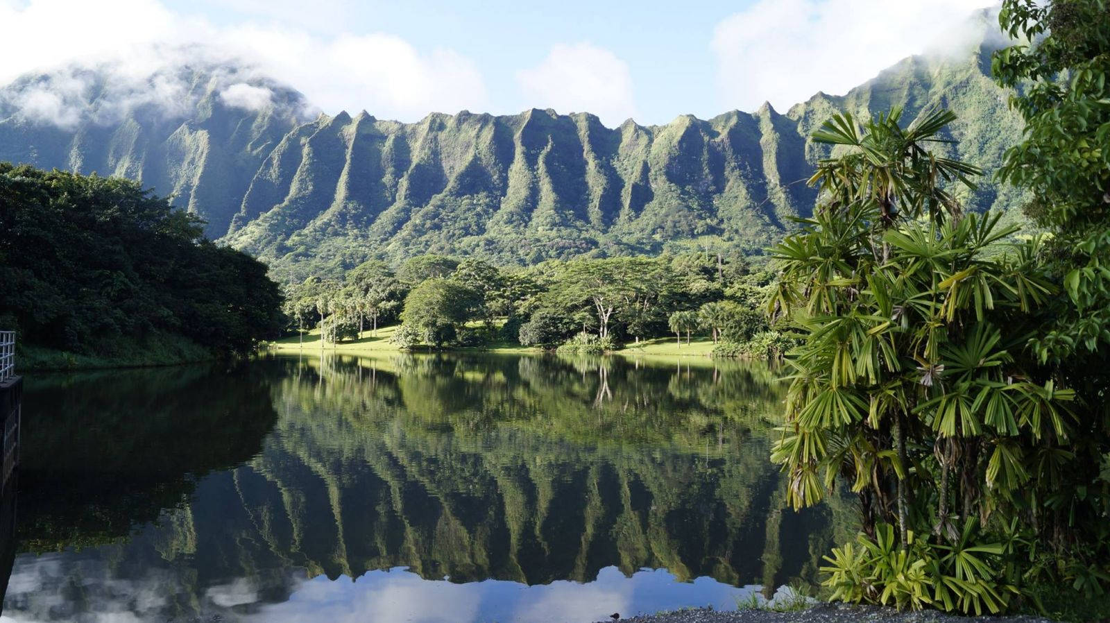 Reflective Oahu Lake