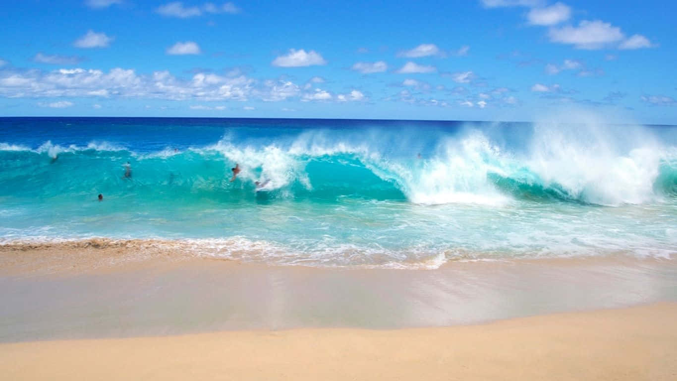 Refresh The View At The Beach Background