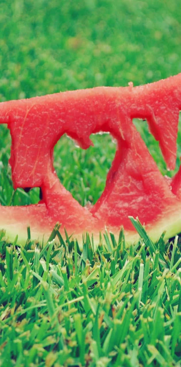 Refresh Your Day With A Watermelon-inspired Iphone. Background