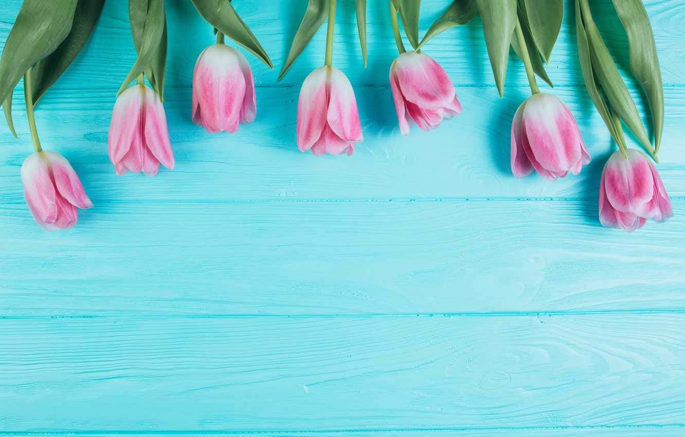 Refresh Your Space With A Simple Spring Style Background