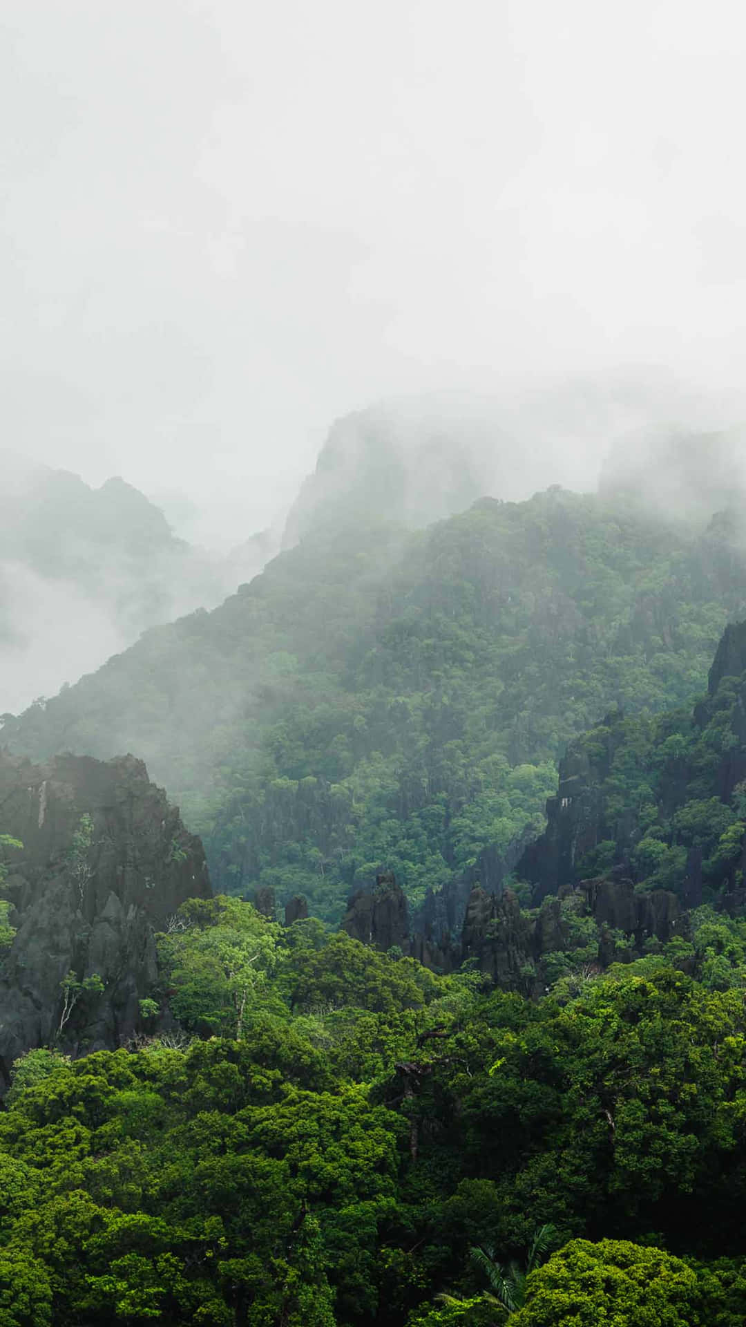 Refresh Your View On Life With High Resolution Green Nature Images On Your Iphone Background