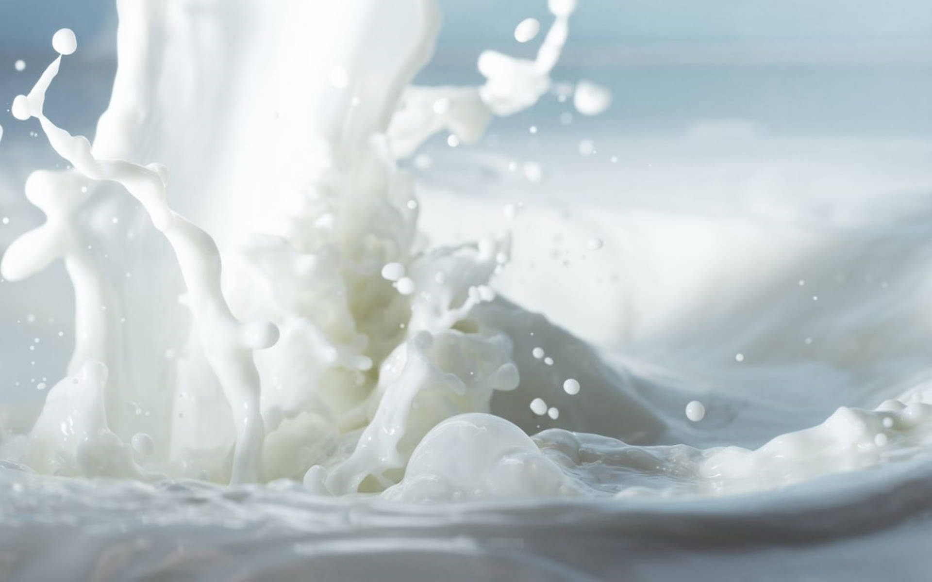Refreshing Splatter Of Pure White Milk Background