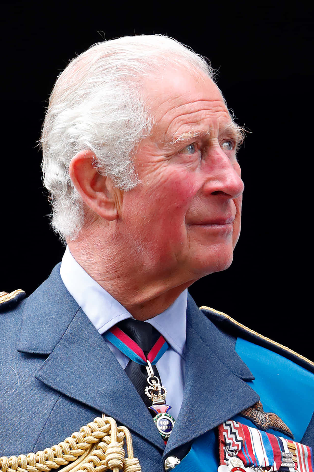 Regal Profile View Of King Charles Iii Background