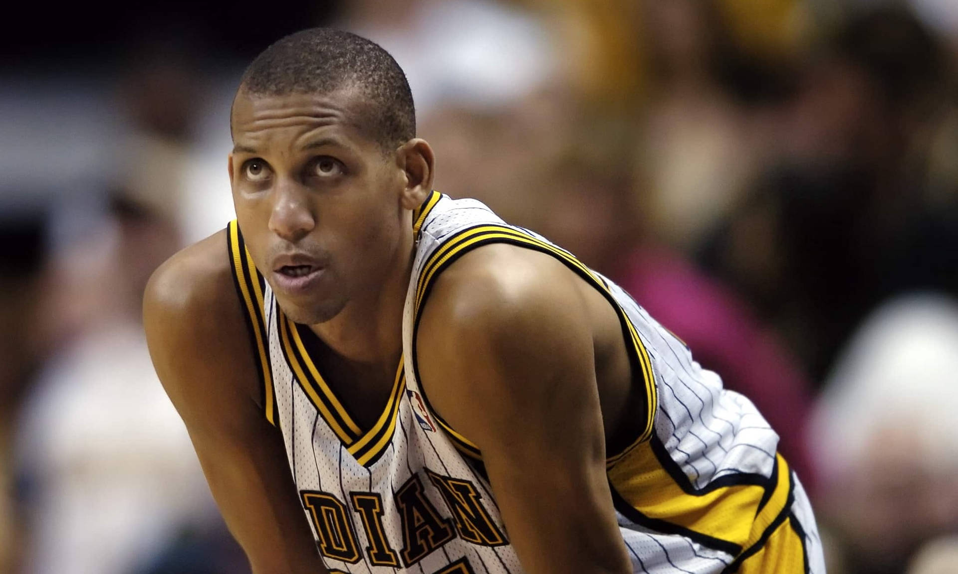 Reggie Miller - The Ultimate Clutch Shooter Background