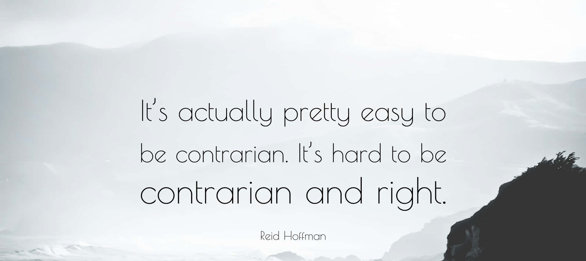Reid Hoffman Contrarian Quote