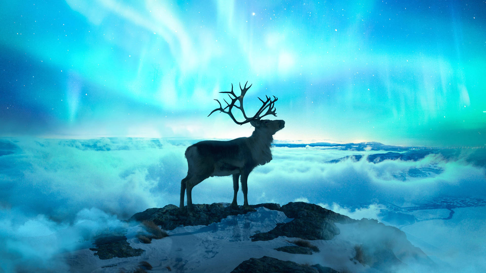 Reindeer Under Northern Lights Background