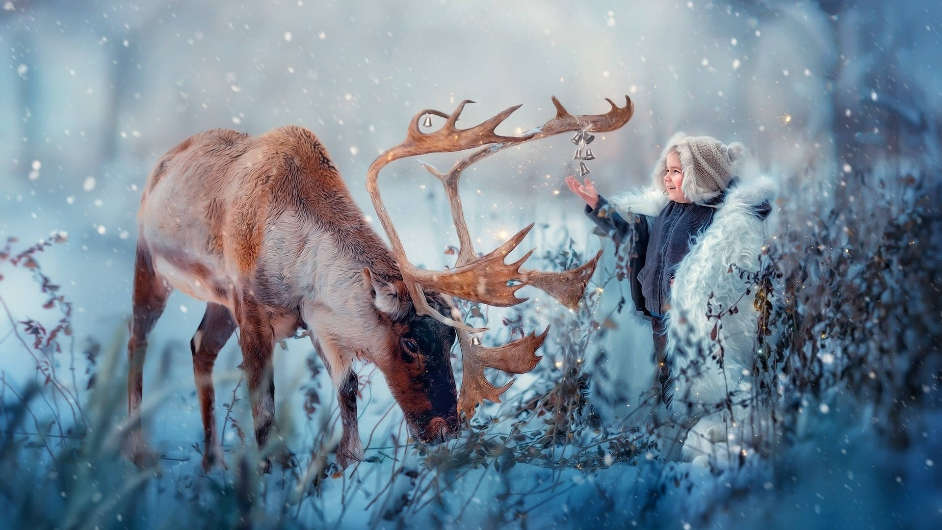 Reindeer With A Boy Background
