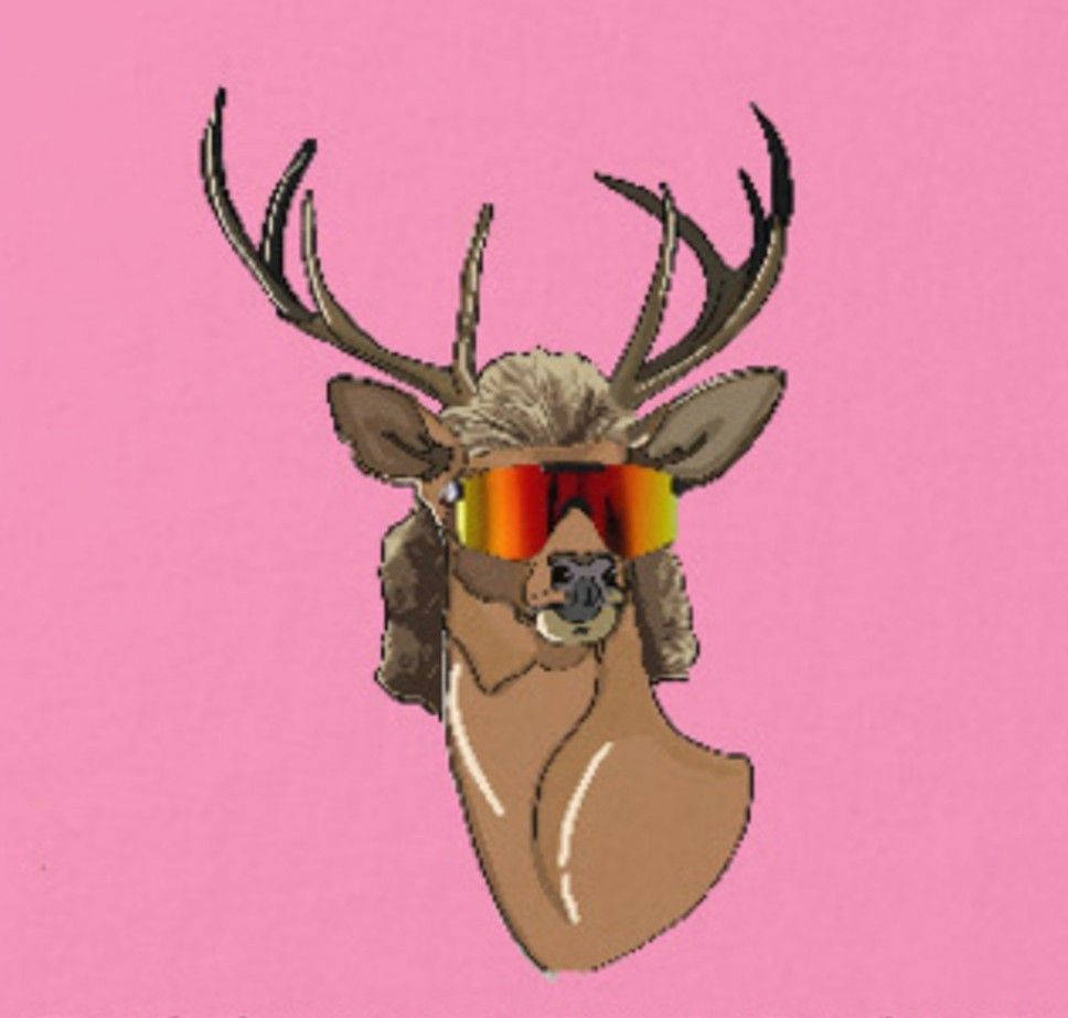 Reindeer With Hair And Sunglasses Instagram Pfp Background