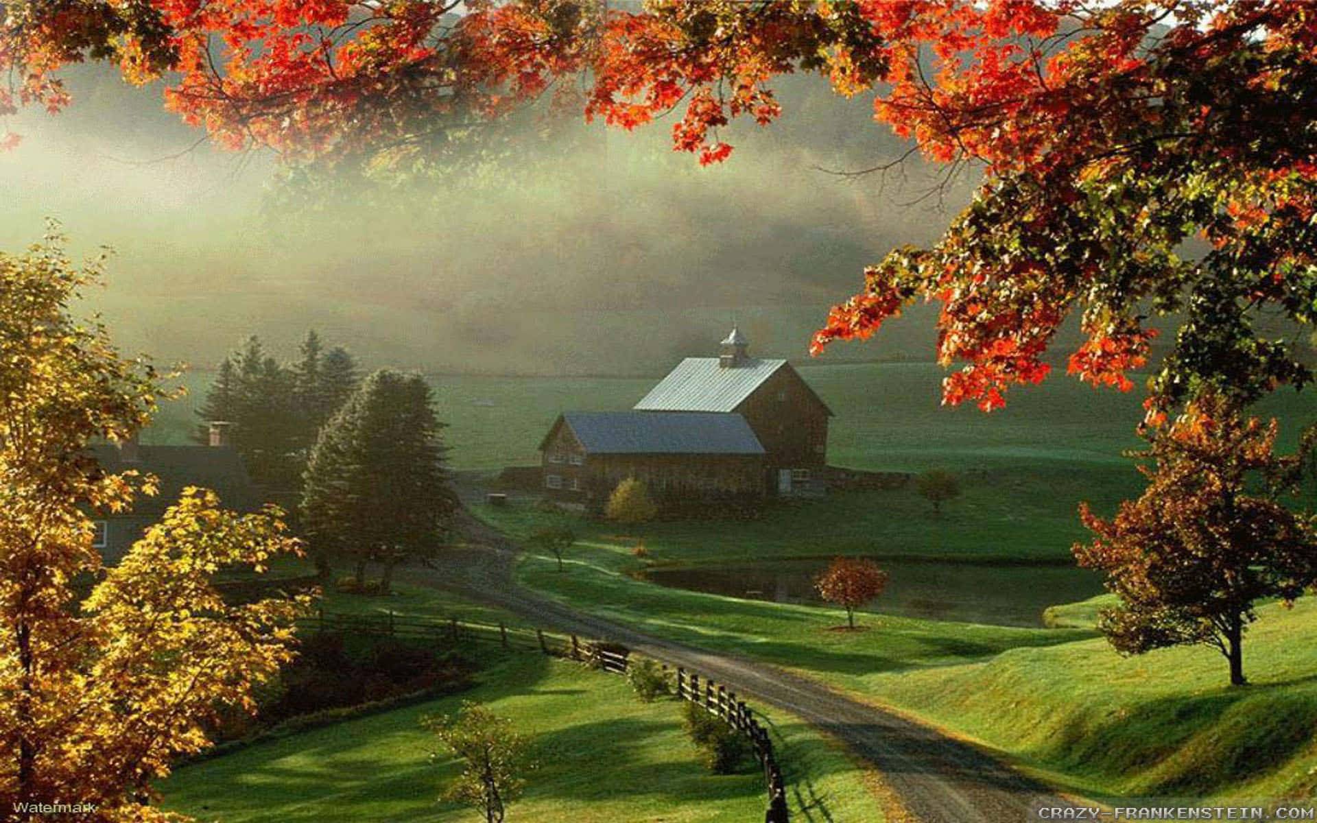 Rejuvenate Yourself In The Beauty Of Early Fall Background