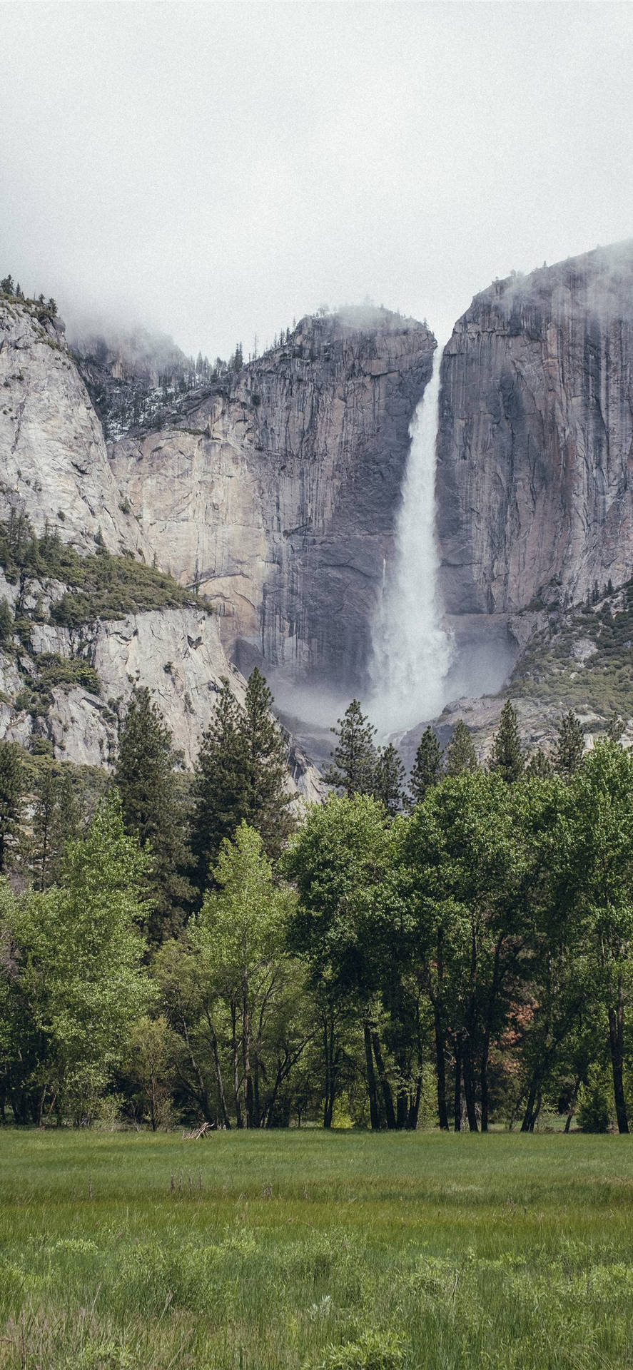 Relax And Enjoy The Amazing Views Of Yosemite National Park With Your Iphone. Background