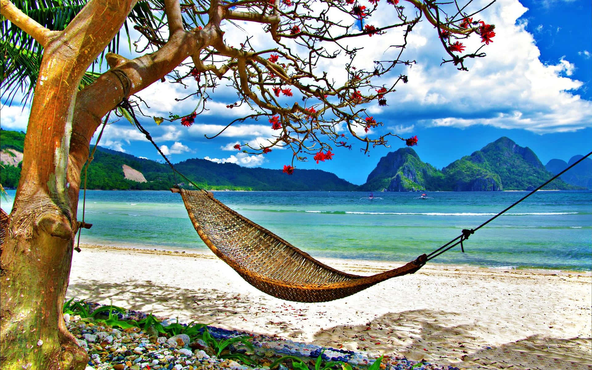 Relax And Enjoy The Beautiful Views Of The Cute Summer Beach Background