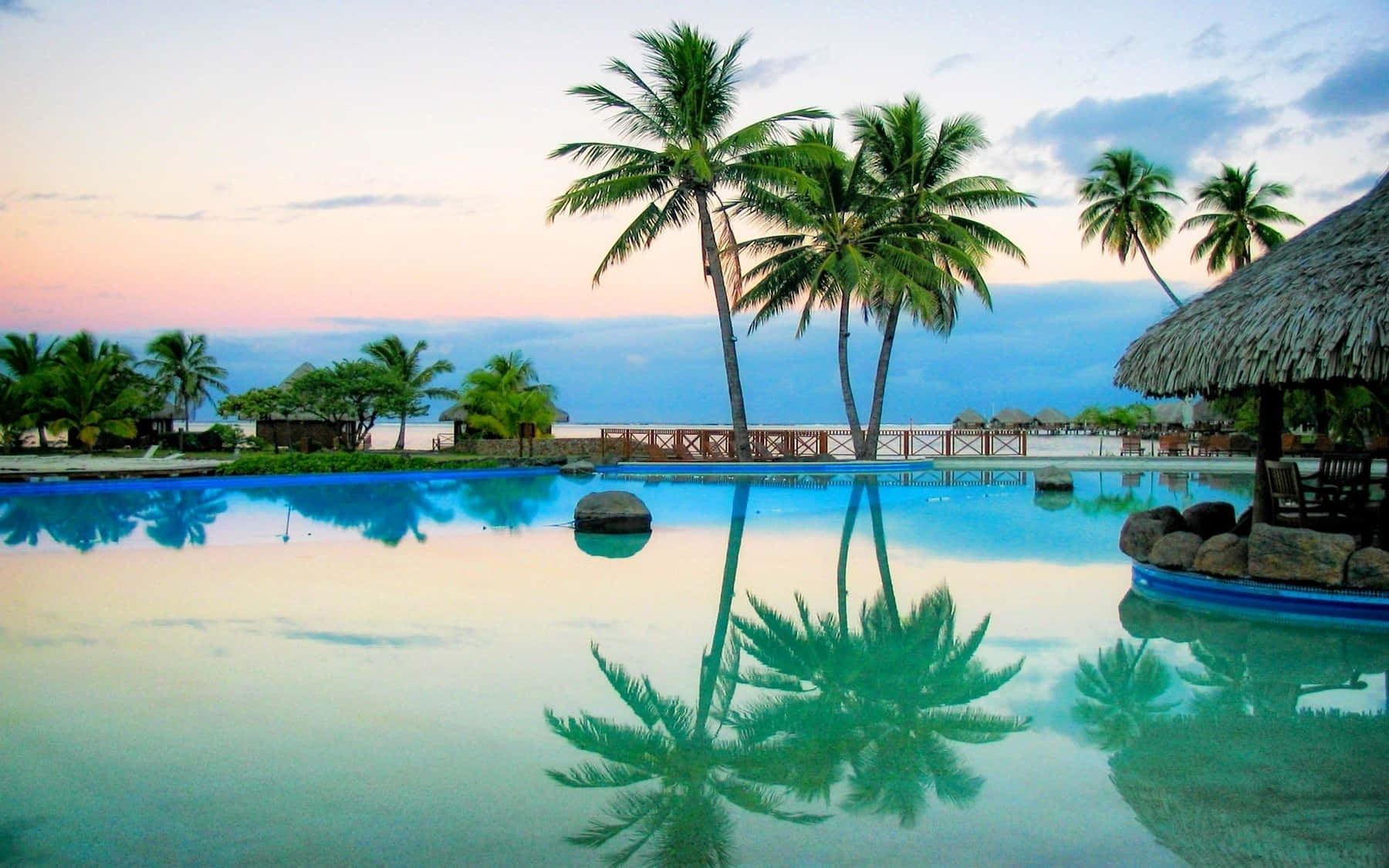 Relax And Enjoy The Sun With This Picturesque Palm Tree Desktop Wallpaper Background