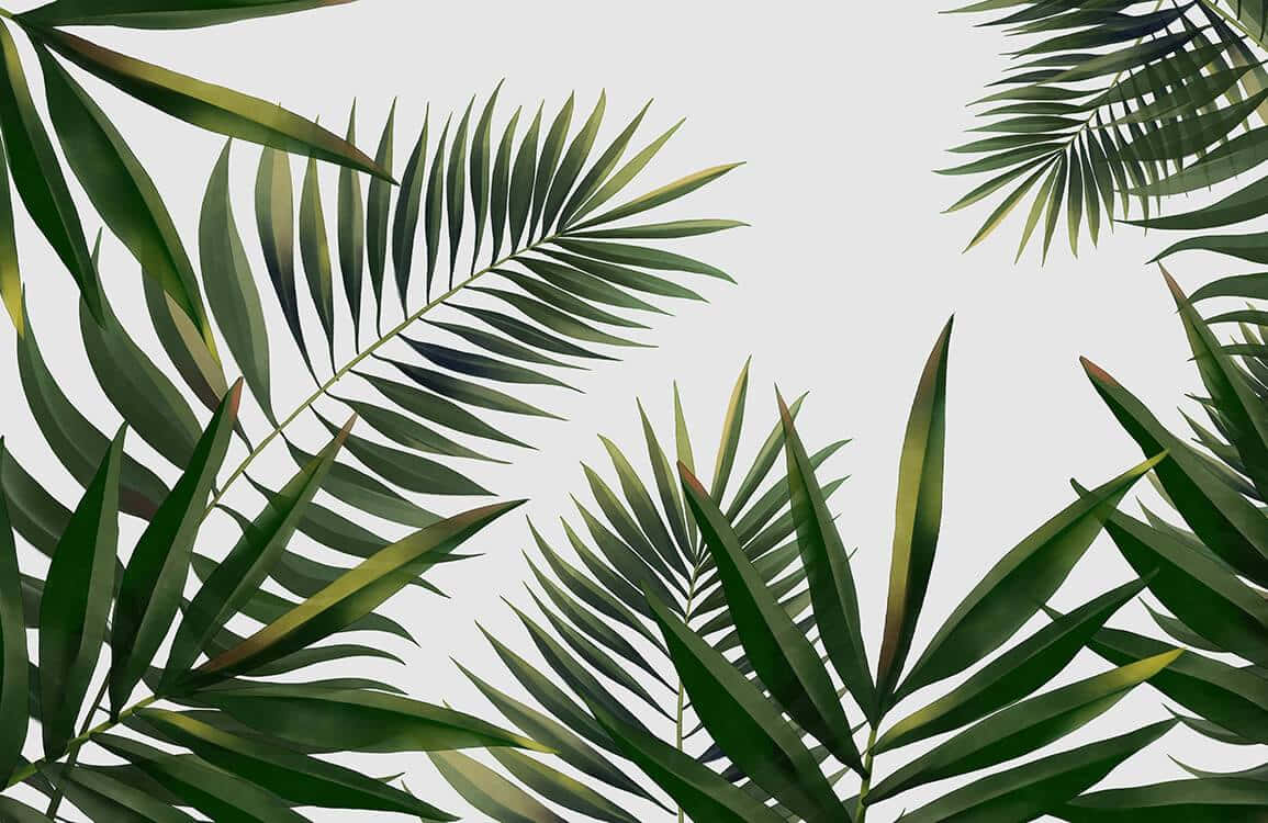 Relax And Recharge With Aesthetic Palm Leaves Background